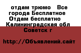 отдам трюмо - Все города Бесплатное » Отдам бесплатно   . Калининградская обл.,Советск г.